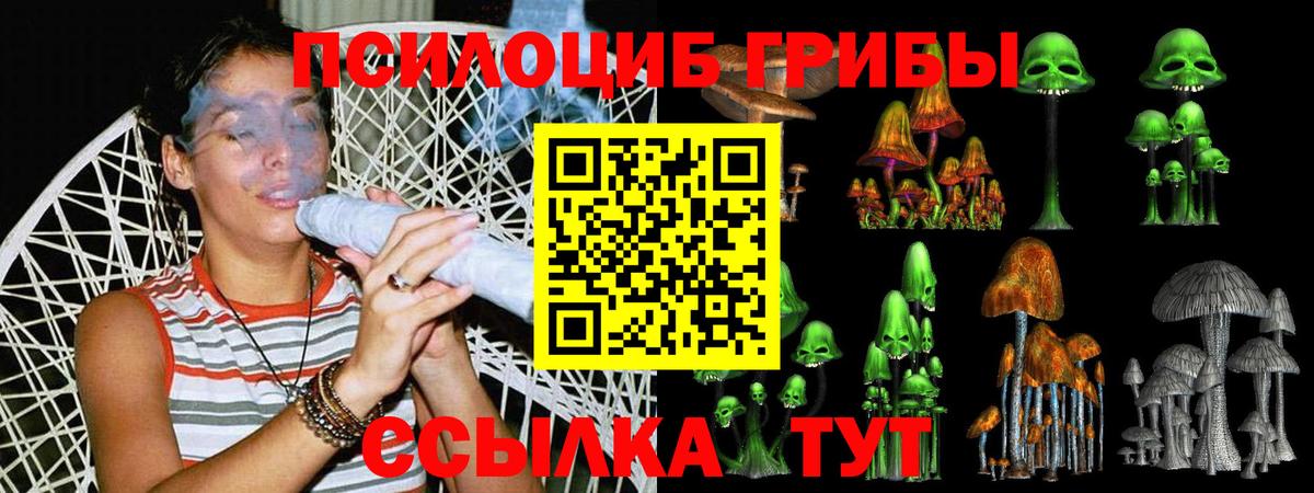 Псилоцибиновые грибы прущие грибы Шебекино